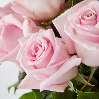Picture Perfect Pink Rose Bouquet – T BEARS FLORIST & GIFTS, Columbus OH