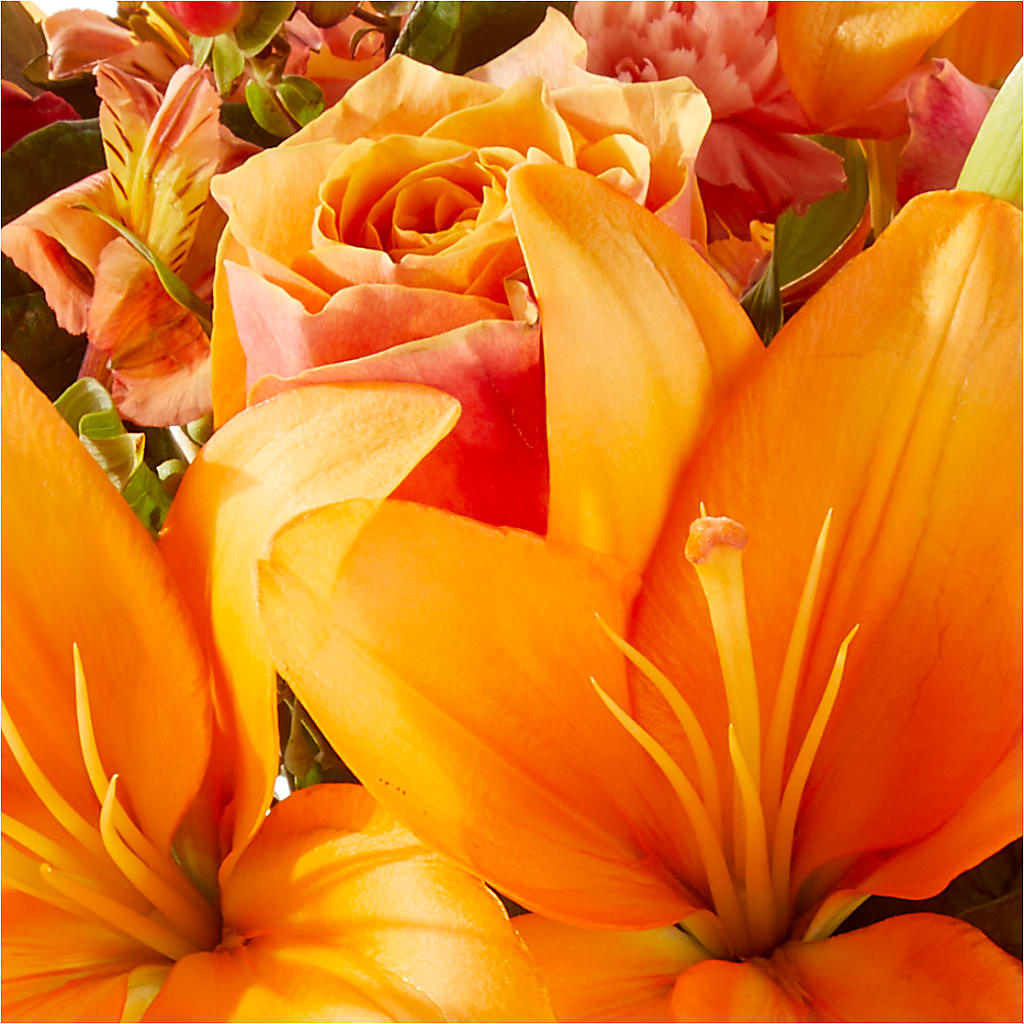 Afternoon Light Bouquet – T BEARS FLORIST & GIFTS, Columbus OH