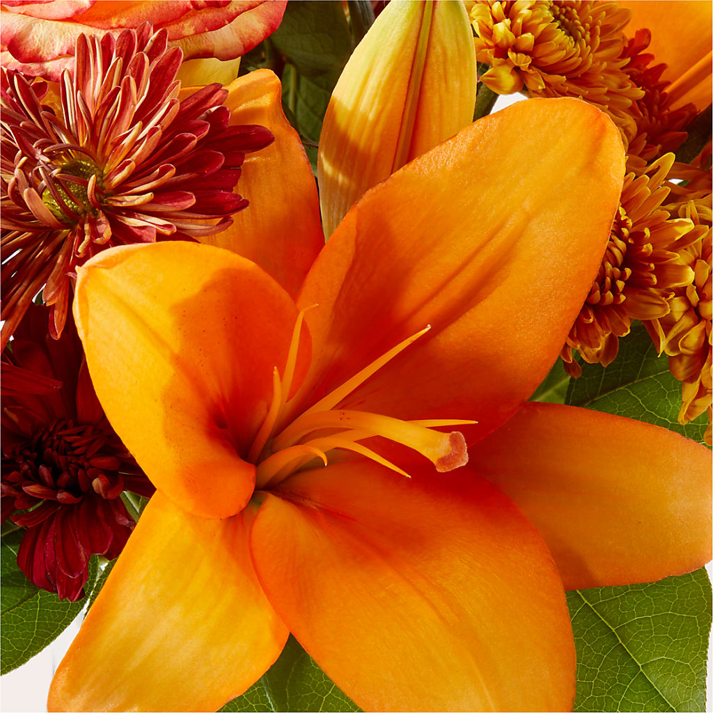 Autumnal Aroma Bouquet – T BEARS FLORIST & GIFTS, Columbus OH