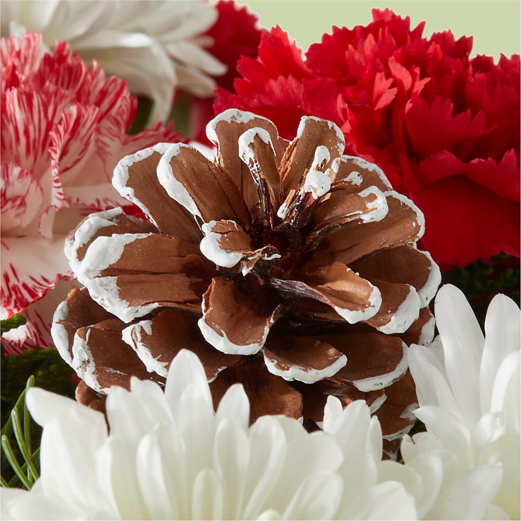 Candy Cane Lane Bouquet – T BEARS FLORIST & GIFTS, Columbus OH