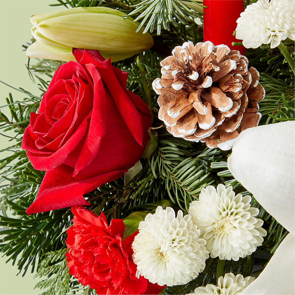 Seasonal Festivities Centerpiece – T BEARS FLORIST & GIFTS, Columbus OH