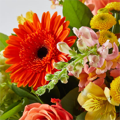 Autumn Sunshine Bouquet – T BEARS FLORIST & GIFTS, Columbus OH