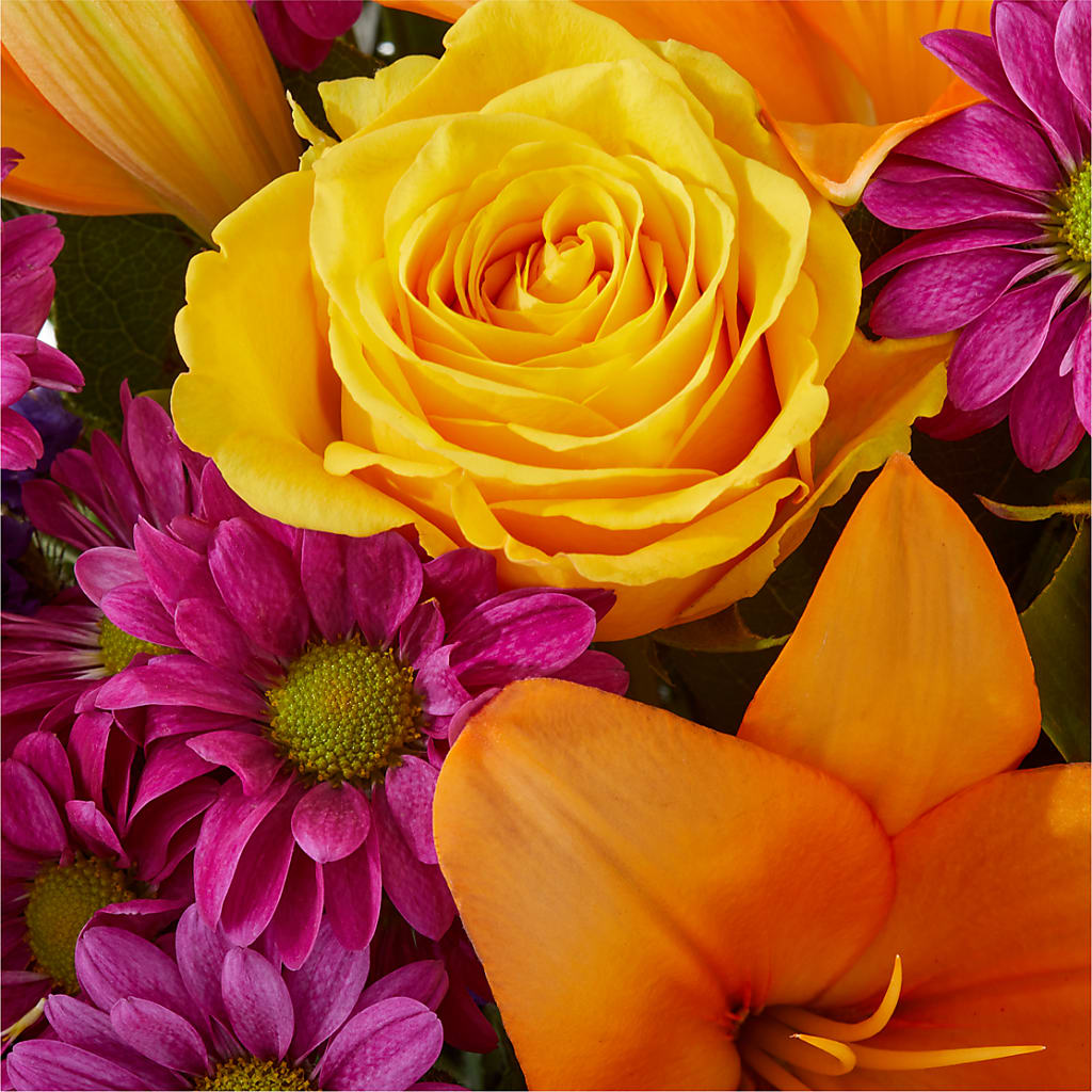 Colorful Visions Bouquet – T BEARS FLORIST & GIFTS, Columbus OH
