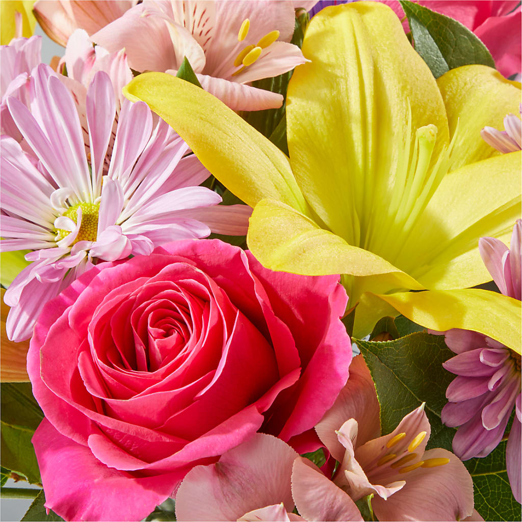 Sprinkles Bouquet – T BEARS FLORIST & GIFTS, Columbus OH