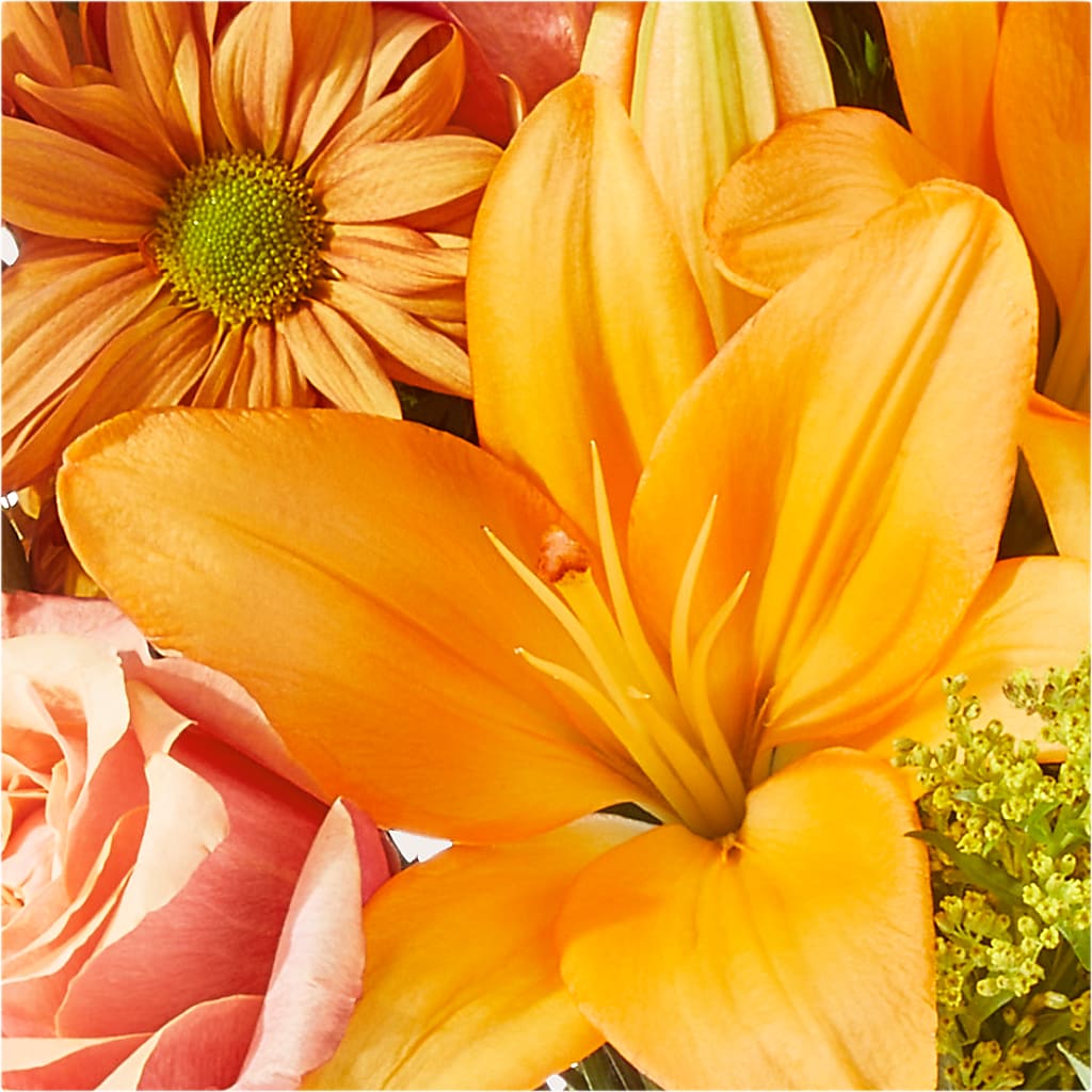 Harvest Hayride Bouquet – T BEARS FLORIST & GIFTS, Columbus OH