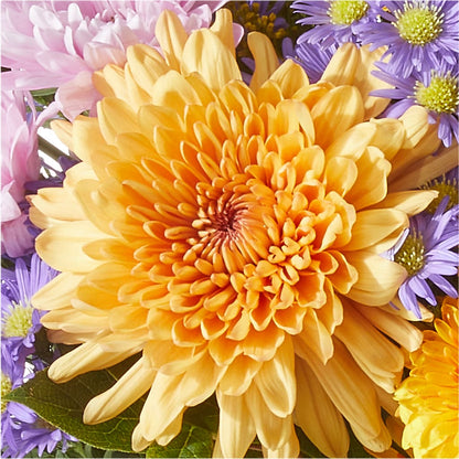 Countryside Bouquet – T BEARS FLORIST & GIFTS, Columbus OH