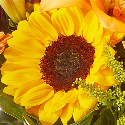 Seasons Change Bouquet – T BEARS FLORIST & GIFTS, Columbus OH