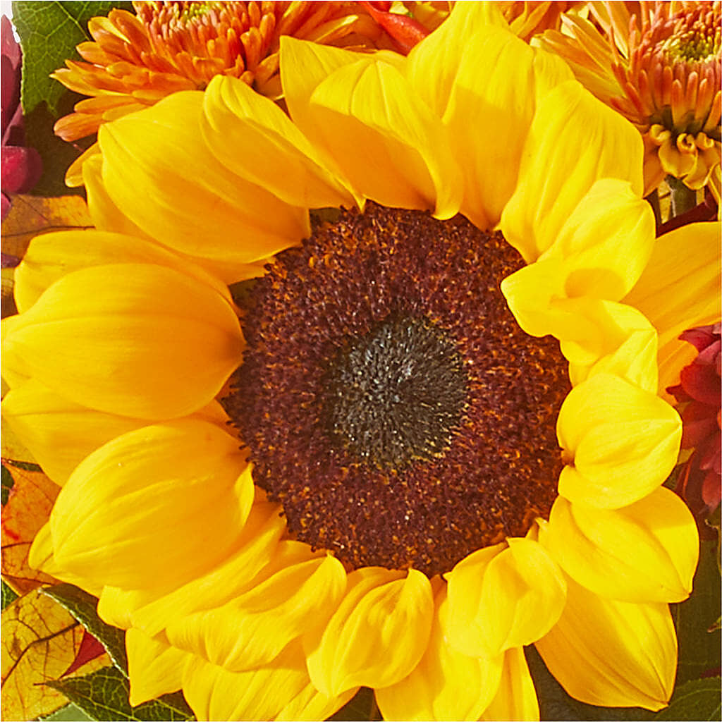 Sunny Side Bouquet – T BEARS FLORIST & GIFTS, Columbus OH