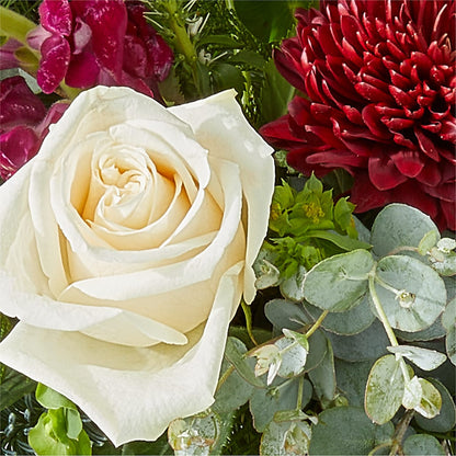 Cranberry Fizz Bouquet – T BEARS FLORIST & GIFTS, Columbus OH
