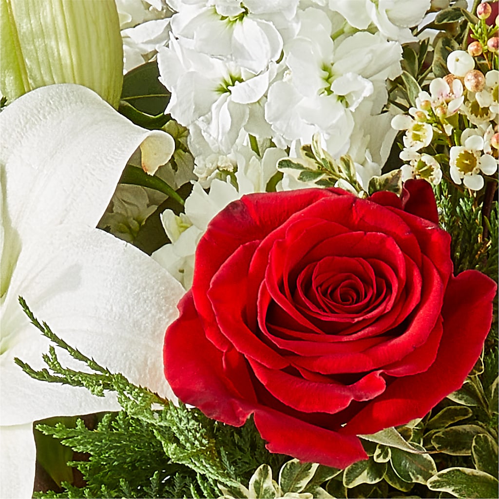 Twinkle Lights Bouquet – T BEARS FLORIST & GIFTS, Columbus OH
