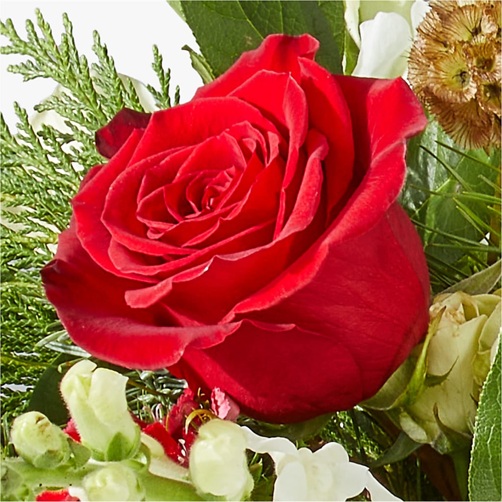 Deck the Halls Bouquet – T BEARS FLORIST & GIFTS, Columbus OH