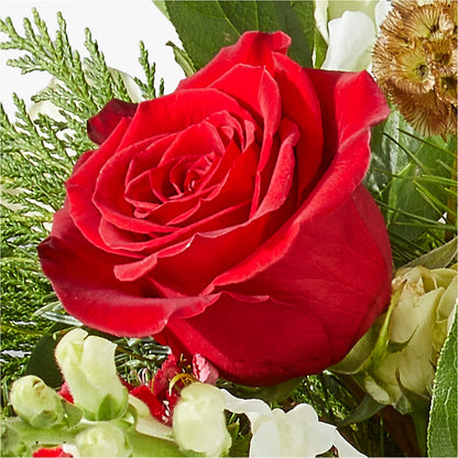Deck the Halls Bouquet – T BEARS FLORIST & GIFTS, Columbus OH