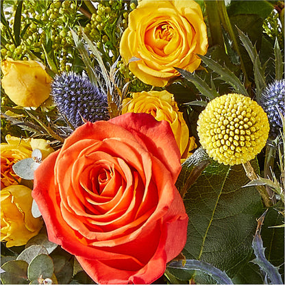 Disco Bouquet – T BEARS FLORIST & GIFTS, Columbus OH