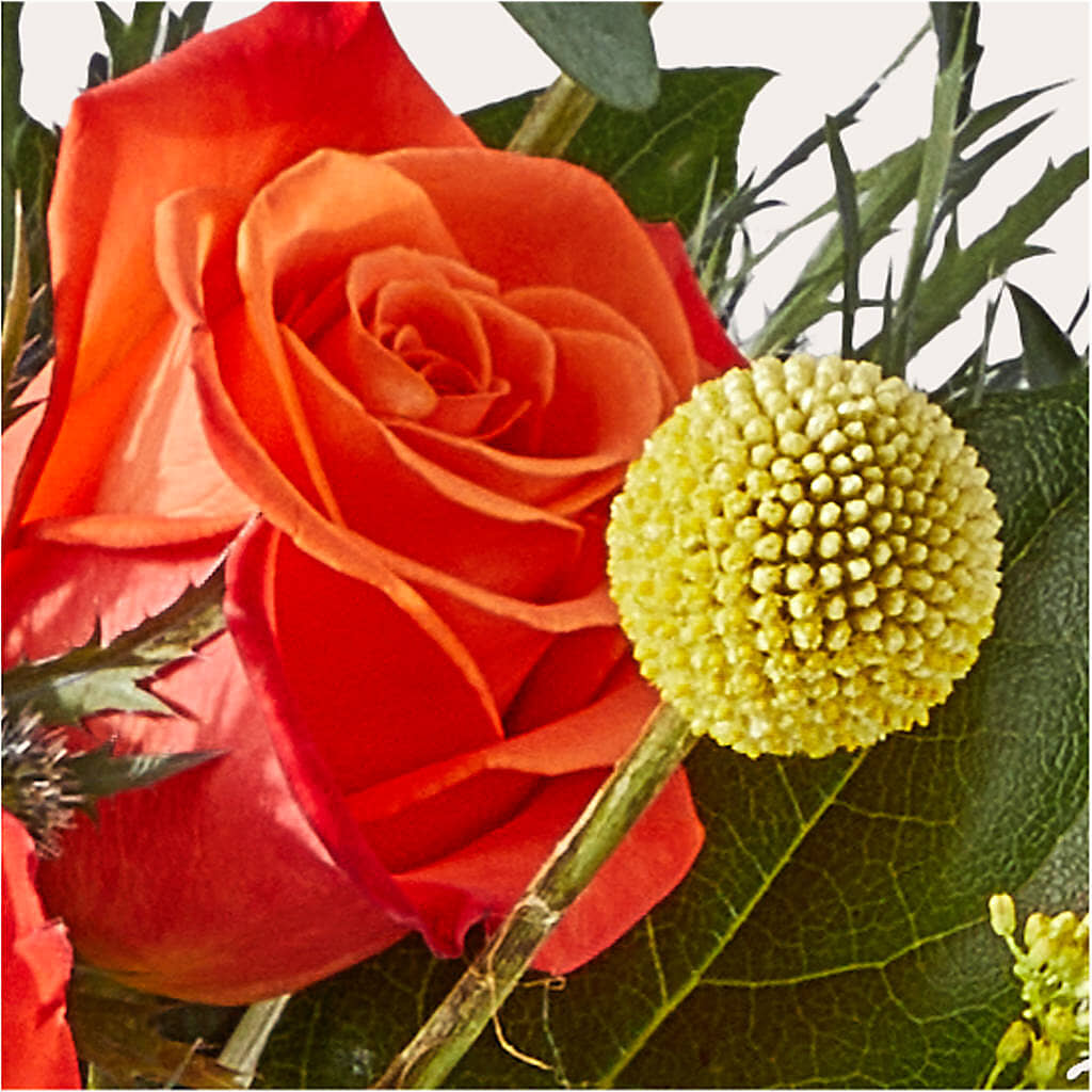 Disco Bouquet – T BEARS FLORIST & GIFTS, Columbus OH