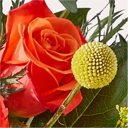 Disco Bouquet – T BEARS FLORIST & GIFTS, Columbus OH