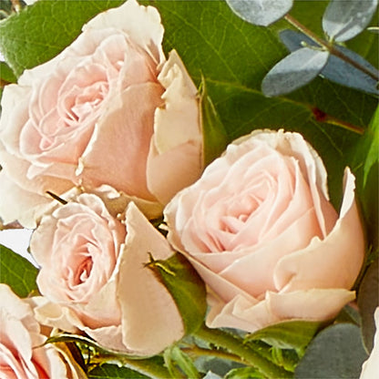 Inspired Bouquet – T BEARS FLORIST & GIFTS, Columbus OH