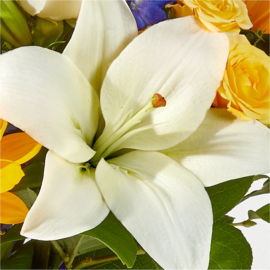 Wonderfully Sunny Bouquet – T BEARS FLORIST & GIFTS, Columbus OH