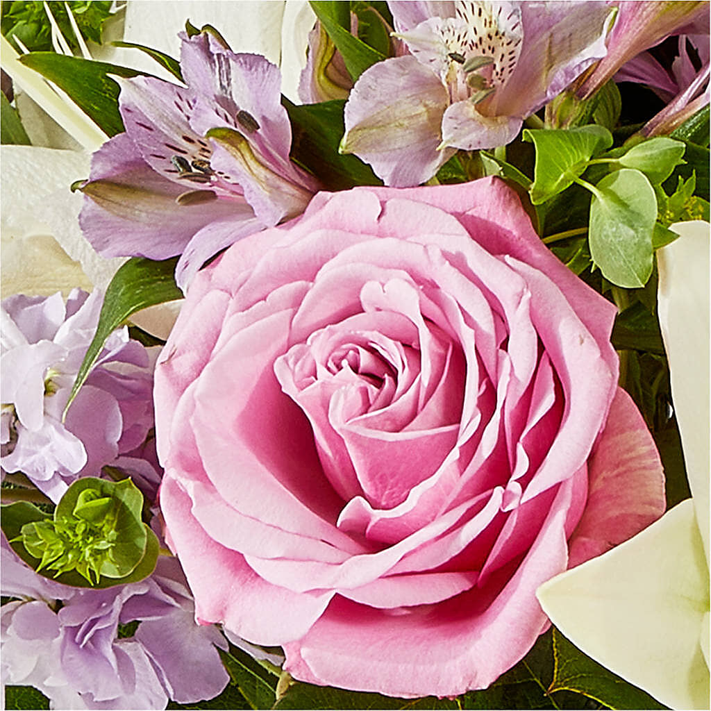Daydreamer Bouquet – T BEARS FLORIST & GIFTS, Columbus OH
