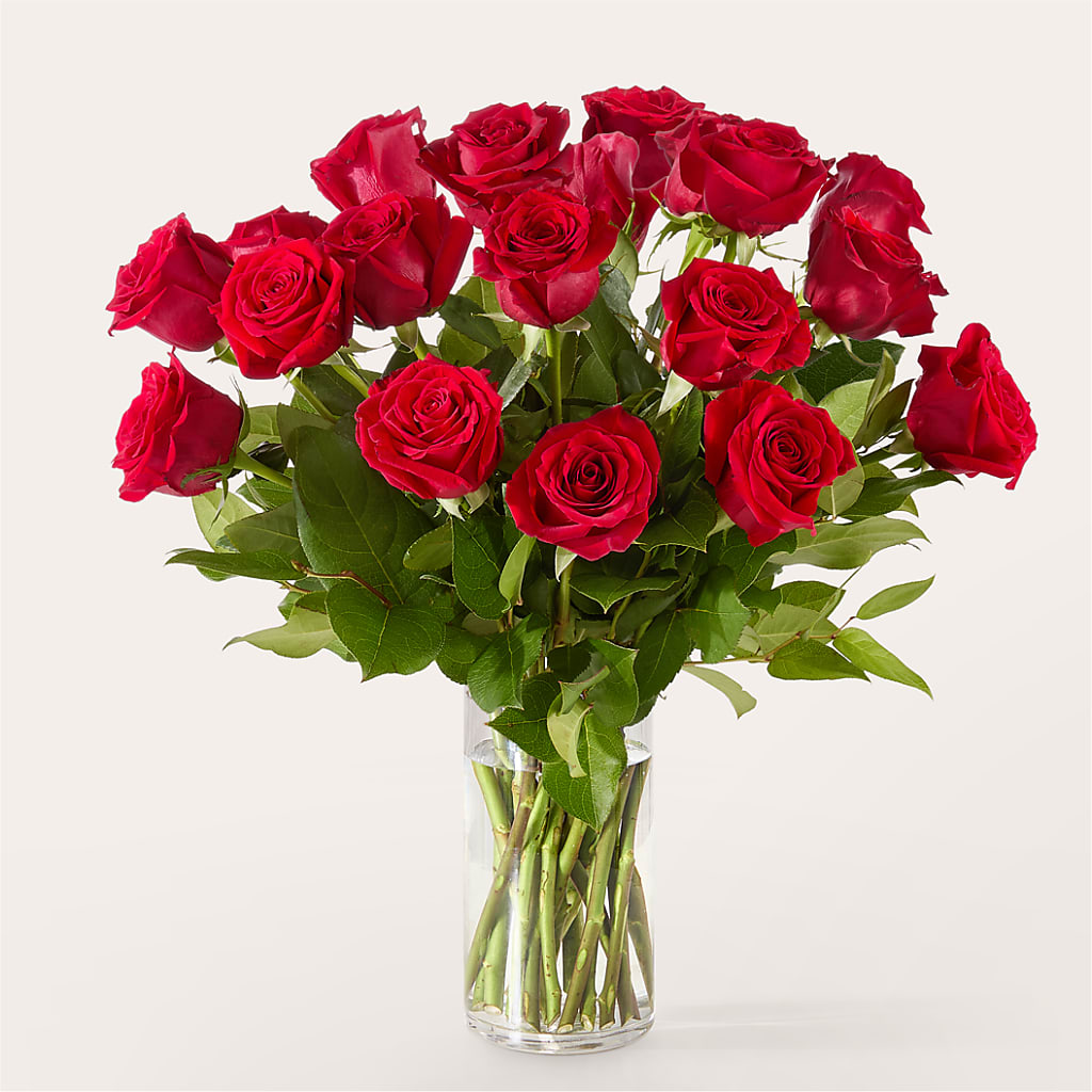 The One Red Rose Bouquet – T BEARS FLORIST & GIFTS, Columbus OH
