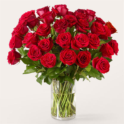 The One Red Rose Bouquet – T BEARS FLORIST & GIFTS, Columbus OH