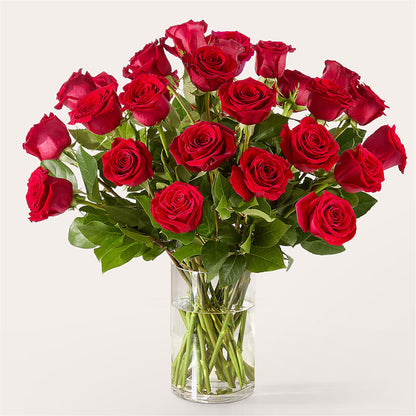 The One Red Rose Bouquet – T BEARS FLORIST & GIFTS, Columbus OH