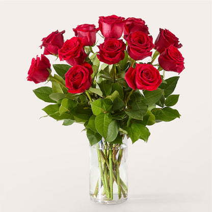 The One Red Rose Bouquet – T BEARS FLORIST & GIFTS, Columbus OH