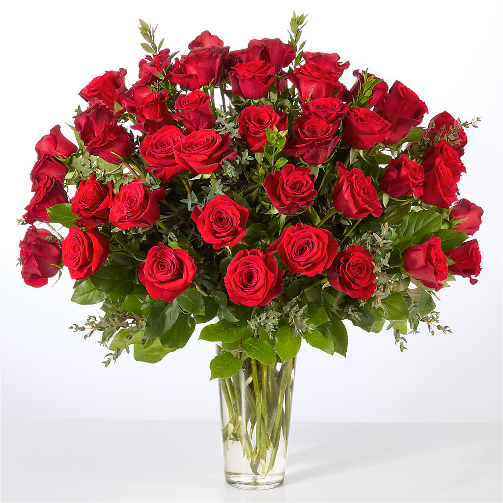 Forever Yours Fifty Stem Red Rose Bouquet – T BEARS FLORIST & GIFTS, Columbus OH