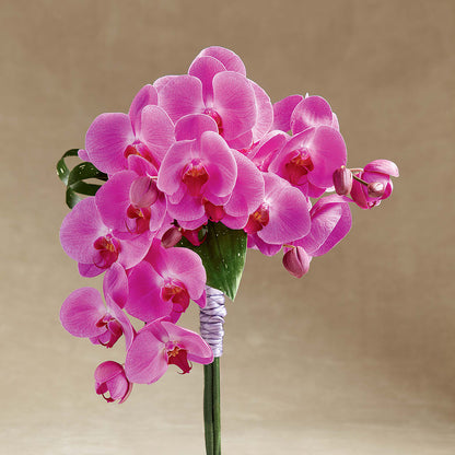 Glorious Bouquet – T BEARS FLORIST & GIFTS, Columbus OH