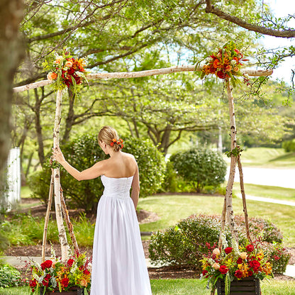 Arbor of Love Archway – T BEARS FLORIST & GIFTS, Columbus OH