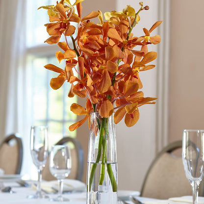 Orange Mokara Bud Vase – T BEARS FLORIST & GIFTS, Columbus OH