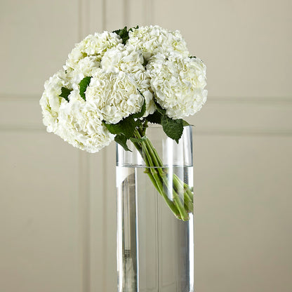 White Hydrangea Hand-Tied Bouquet – T BEARS FLORIST & GIFTS, Columbus OH