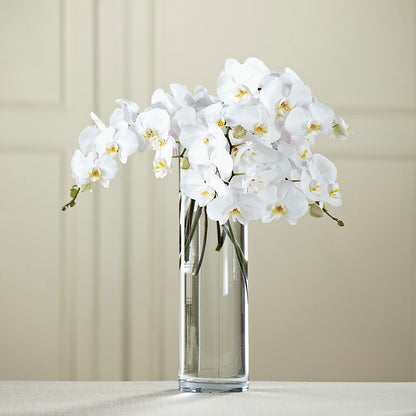 White Phalaenopsis Bouquet – T BEARS FLORIST & GIFTS, Columbus OH